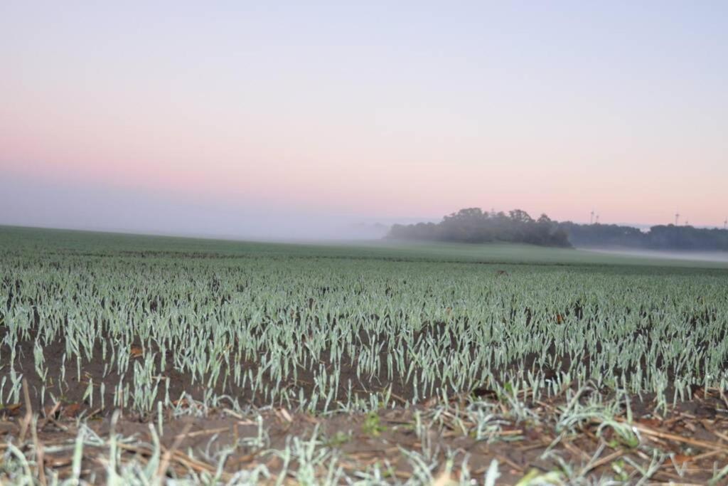 Ferienhaus Woddow Uckermark Kültér fotó